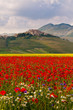 Castelluccio di Norcia Castelluccio di Norcia