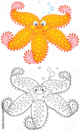 Illustration: Starfish Starfish