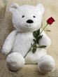 Teddy bear with red rose