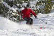 Male skiing forest