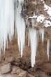 icicles