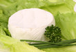 Weichkäse auf Salat mit Schnittlauch und Peterli