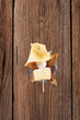 Cheese appetizer Cheese appetizer