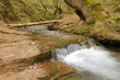 Photo: Gill in a ravine Gill in a ravine