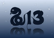 2013 Happy New Year