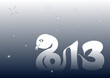 2013 Happy New Year