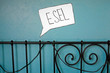 Esel Esel