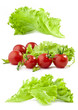 Lettuce and tomatoes on white background