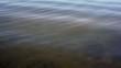 Video: Shallow water with ripples Shallow water with ripples