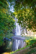 Cascade Niagara - Ile de La Réunion