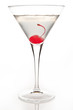 Daiquiri