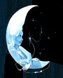 fairy moon