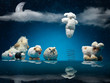 funny toy sheeps playing different games, night