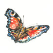 Illustration: Butterfly-watercolors Butterfly-watercolors