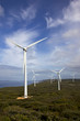 Albany Wind Farm,