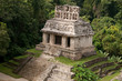 Mayaruinen von Palenque, Mexiko Mayaruinen von Palenque, Mexiko