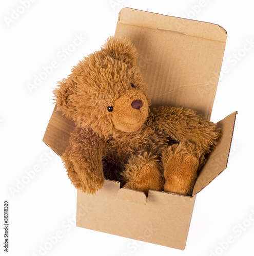Photo: toy bear cub sits in box on a white background toy bear cub sits in box on a white background