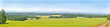 green field and blue sky