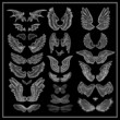 wing silhouettes