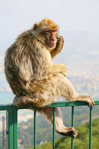 photo par photoman120