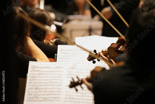 Photo: Violinist Violinist