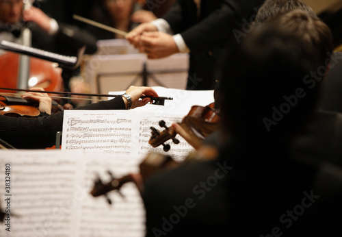 Photo: violinists during a concert violinists during a concert