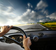 Car and hands and road and 2(10).jpg
