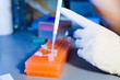 Photo: Scientist pouring liquid into test tube Scientist pouring liquid into test tube