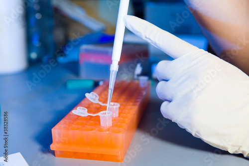 Photo: Scientist pouring liquid into test tube Scientist pouring liquid into test tube