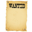 Plakat - WANTED white
