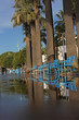 les chaises bleues de la croisette
