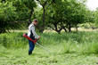 lawnmower