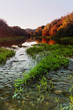 interior river