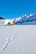 Spuren im Schnee Spuren im Schnee