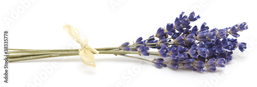 Photo: bunch of lavender bunch of lavender