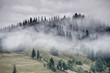 Foggy morning