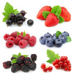 Collection of sweet berries