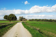 passeggiata tra i campi verdi