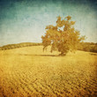 vintage tuscan landscape