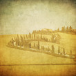 vintage tuscan landscape