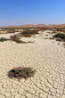 Sossusvlei sand dunes landscape in the Nanib desert near Sesriem