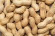 peanut background