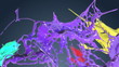 Photo en ligne au meilleur prix Colored paint splashes seamless LOOP