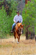 Cowboy