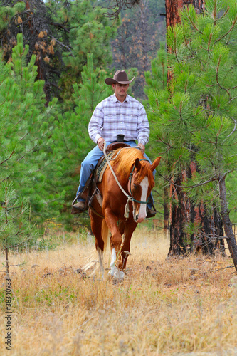 Photo: Cowboy Cowboy