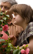 A girl and her grandmother admiring a camellia.