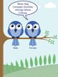how to determine the gender of birds