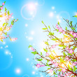 Spring background