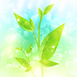 Green sprout