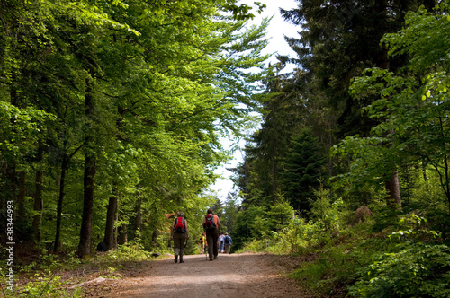 Photo: Wanderer im Schwarzwald Wanderer im Schwarzwald